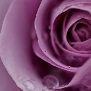 Meet your Posher, Val